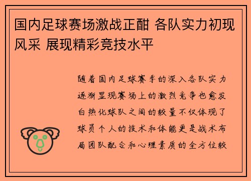 国内足球赛场激战正酣 各队实力初现风采 展现精彩竞技水平